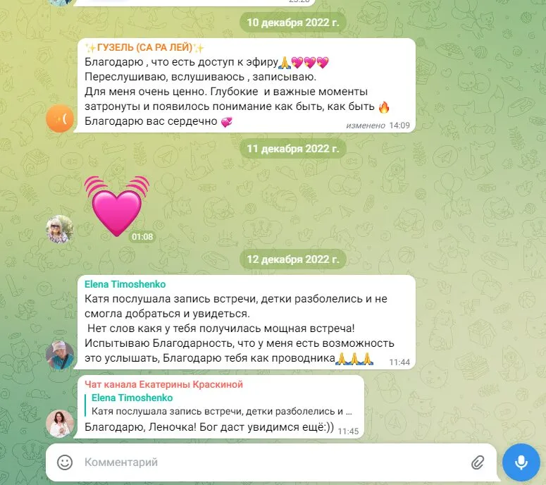 provodnik-11