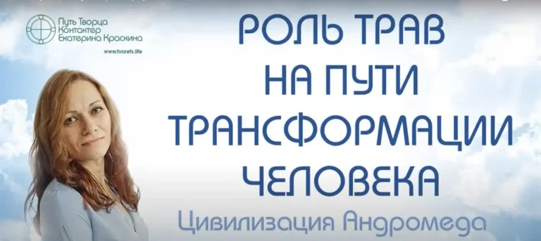 Роль трав на пути трансформации человека