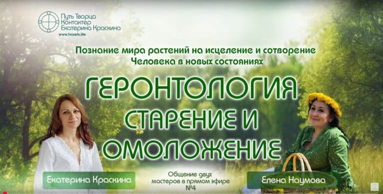 Шлемник байкальский как средство для здоровья