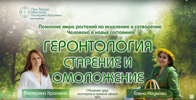 Лебеда: забытое растение с омолаживающими свойствами