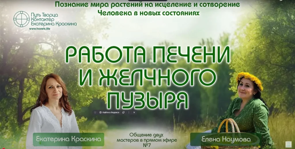 Печень и желчный пузырь — сила растений для здоровья