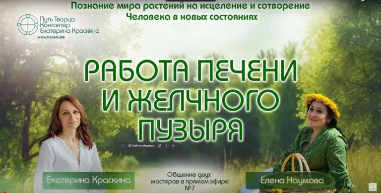 Печень и желчный пузырь — сила растений для здоровья