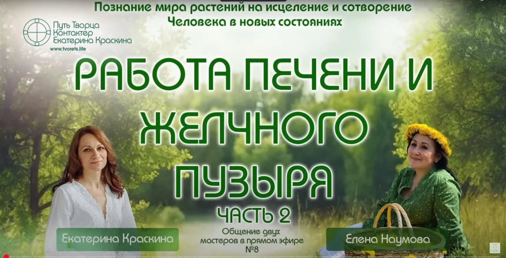 Работа печени и желчного пузыря: связь с растительным миром