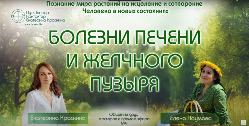 Болезни печени и желчного пузыря | Познание мира растений №9 — травы и растения для здоровья печени и желчного пузыря