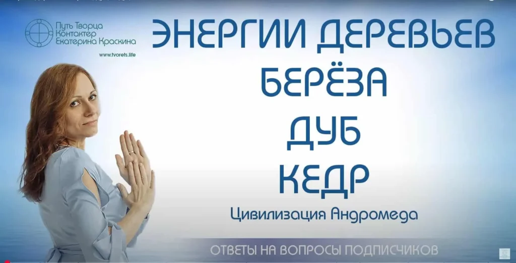 энергии деревьев, берёза, дуб, кедр