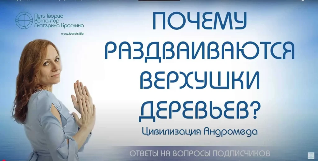 Раздвоение верхушек деревьев и энергетический смысл