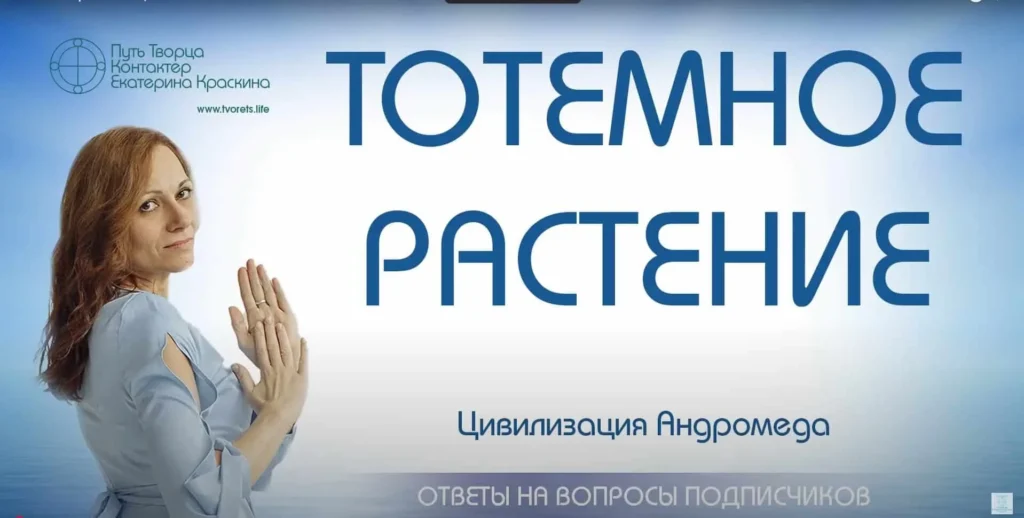 Тотемное растение и его связь с энергией