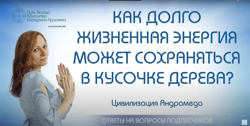 Жизненная энергия дерева и влияние на человека