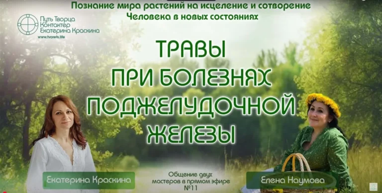 Травы для поджелудочной железы: как помочь органу
