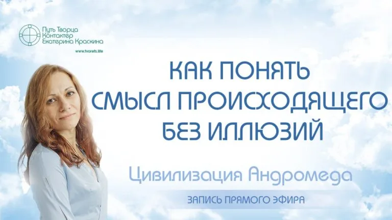 Иллюзия и реальность как понять смысл