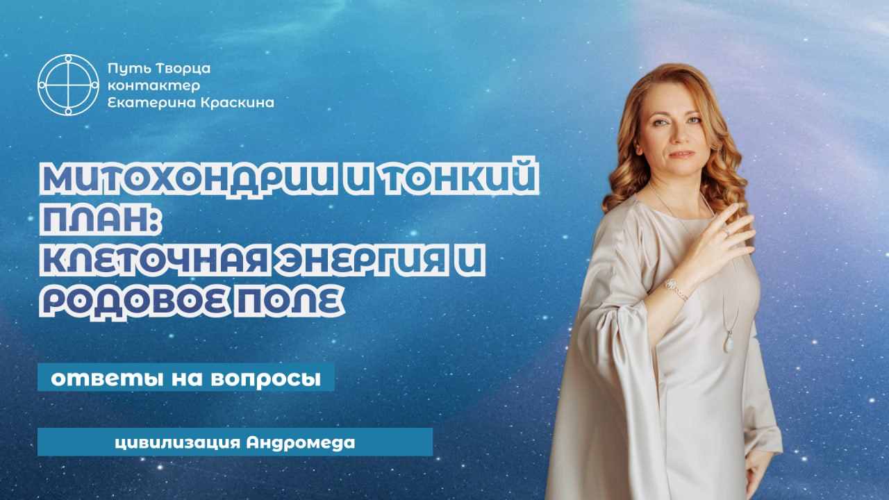 Обложка видео