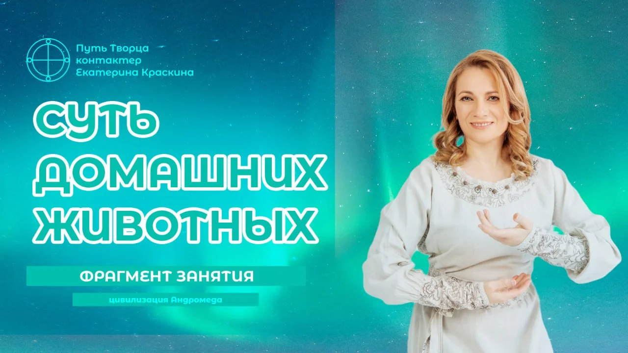 Обложка видео