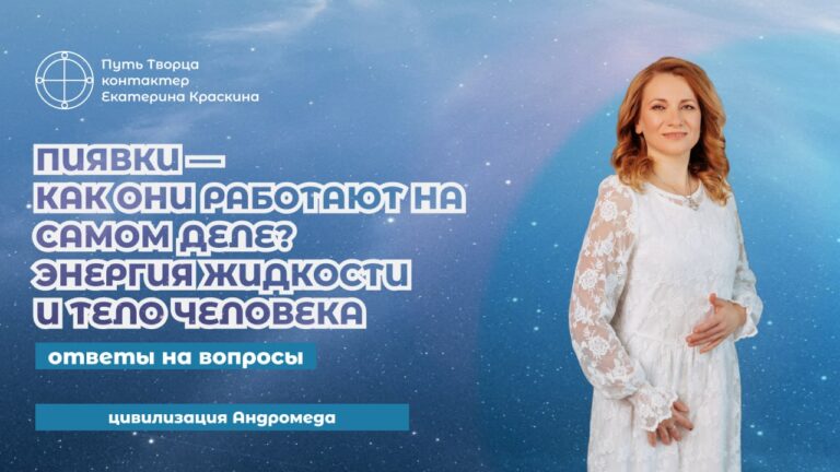 Пиявки: энергия жидкости и тело – как они работают?