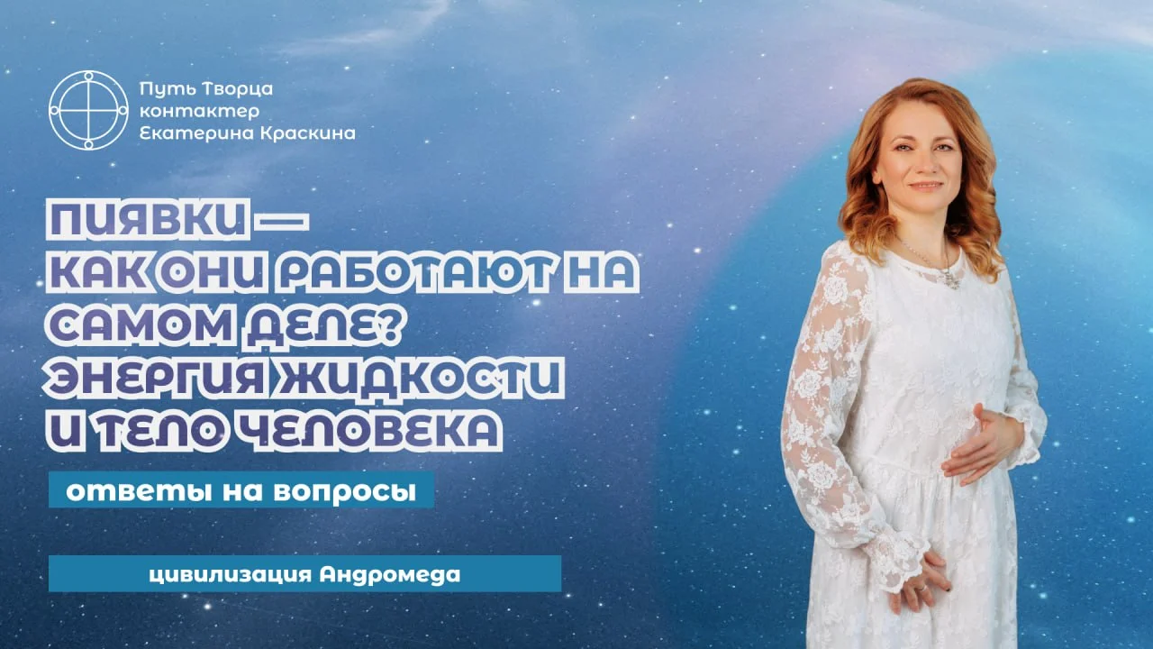 Обложка видео