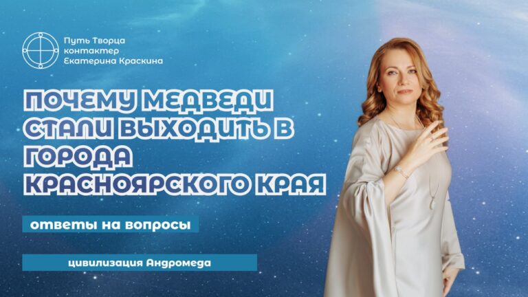 Почему медведи выходят в города Красноярского края