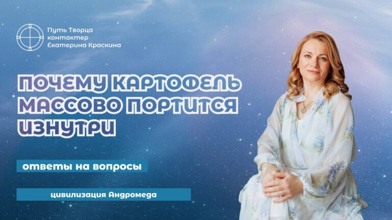 Почему картофель массово портится изнутри
